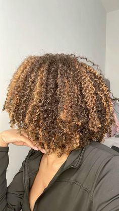 Natural Hair Dye Highlights, Dyed Hair Black And Brown, Highlight Afro Hair, Dyed Hair For Black Women Brown, Skunk Stripe With Highlights, Colored Hair On Black Women Natural Hair, Dyed Hair Ideas For Black Women