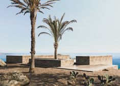 two palm trees are in front of some concrete benches on the side of a cliff