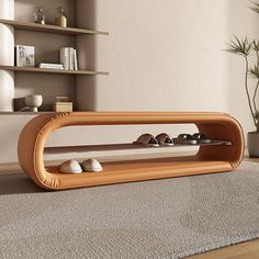 a wooden shelf with rocks in it on top of a carpeted floor next to a potted plant