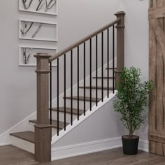 a potted plant sitting on top of a wooden floor next to a stair case