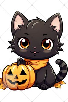 a black cat sitting next to a jack - o'- lantern on a white background