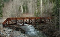 a wooden bridge over a river in the woods