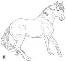 a drawing of a horse that is running