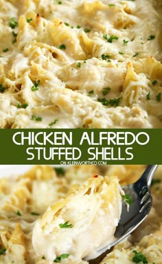 chicken alfredo stuffed shells in a white casserole dish with parsley on top