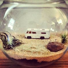 a miniature camper in a fish bowl with rocks and air plants on the bottom