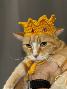 a cat wearing a crocheted crown on its head with the caption bartholomeew