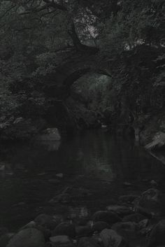 an old bridge over a stream in the woods with rocks and trees around it on a rainy day