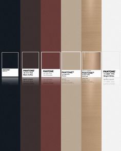 the color scheme for pantone's new colors is brown, beige and black