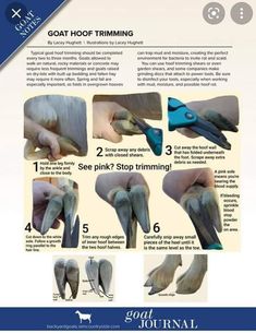 instructions on how to use the goat foot trimming tool with pictures and description below