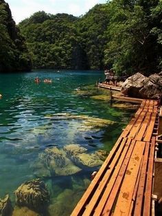 people are swimming in the clear blue water near some rocks and wood planks, with green trees on either side