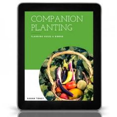 the book companion companion companion companion companion companion companion companion companion companion companion companion companion companion companion companion companion companion companion companion companion companion companion companion companion companion companion companion companion