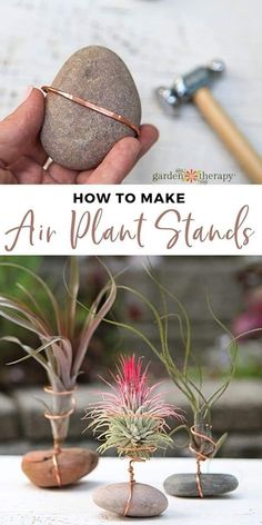 how to make air plant stands out of rocks