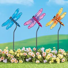 three colorful dragonflys are standing on top of the flowerbed in front of a blue sky