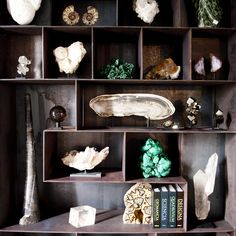 a shelf filled with lots of different types of rocks and other things on top of it