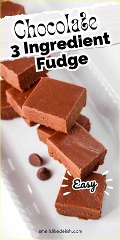 Running behind on holiday gifts? This Chocolate 3 Ingredient Fudge for Christmas is your hero! It's quick, easy, and requires minimal ingredients, making it the ideal last-minute solution. Package it beautifully and watch your loved ones' faces light up with every bite of this delicious fudge! 3 Ingredient Fudge, Milk Chocolate Fudge, Fudge Shop, Chocolate Peanut Butter Fudge, Decadent Chocolate Cake, Fudge Easy, Peppermint Cookies