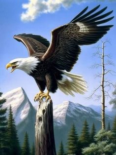 an eagle sitting on top of a wooden post with mountains in the backgroud