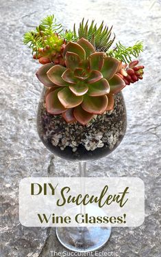 a wine glass filled with succulents and gravel