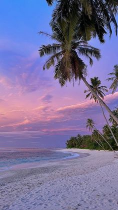 palm trees line the beach as the sun sets in the sky over water and land