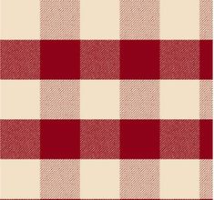 a red and white checkered fabric pattern