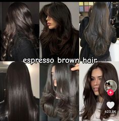 Espresso Brown Hair Color, Espresso Brown Hair, Espresso Hair Color, Bridget Bardot, Brown Hair Looks, Brown Hair Inspo, Hair Tint, Brown Hair Color, Hairstyles For Layered Hair