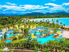 an outdoor swimming pool surrounded by palm trees and blue water with mountains in the background