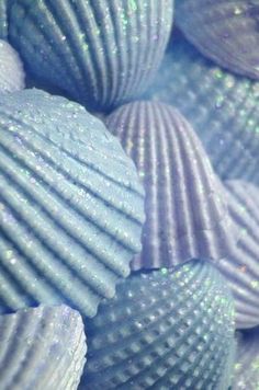 many blue seashells are stacked together in the ocean with some sparkling on them