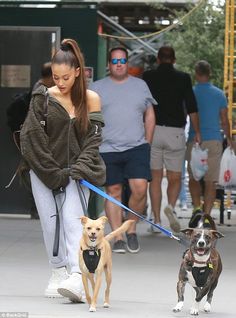 a woman walking two dogs on a leash