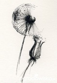 a black and white drawing of a dandelion