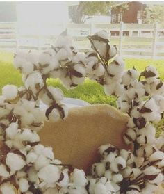 a wreath made out of cotton is sitting in the grass