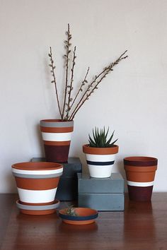 there are many pots with plants in them on the table