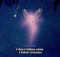 an image of a fairy with the words i don't follow rules, i follow intention