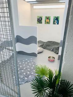 a room with a cat bed, plant and pictures on the wall in front of it