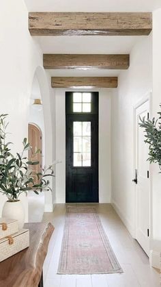 an entryway with a rug and potted plant on the floor next to it