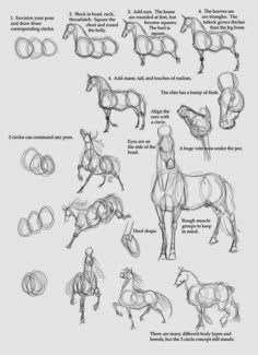 the horse's body is shown in several different ways, including how to draw it