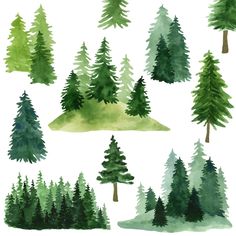 PRICES MAY VARY. Pine Tree Wall Decals: comes with 1 sheet (40x90cm/15.7x35.4 inches) watercolor green tree wall decals. Watercolor Tree Wall Decals: easy to use, just peel and stick, removable with no residue left. Woodland Tree Wall Stickers: made of high quality pvc material , reliable and safe to use, which are not easy to fall off or fade. Forest Tree Wall Decals: applied for any smooth, flat, clean surface, such as walls, windows, furniture, floor, glass, mirror, door. Pine Tree Wall Decor Wall Stickers For Nursery, Watercolor Pine Tree, Pine Tree Wall, Woodland Stickers, Tree Wall Decals, Cartoon Trees, Animal Wall Decals, Large Tree, Watercolor Tree