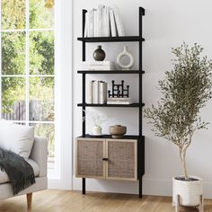 a living room with bookshelf, couch and potted plant in the corner