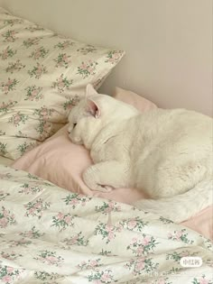 a white cat laying on top of a bed next to pillows and sheets with pink flowers