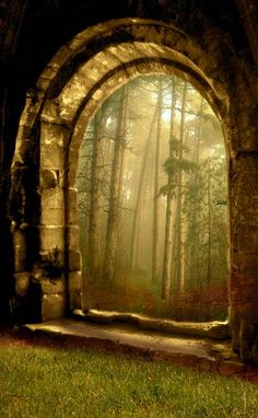 an arch in the middle of a forest filled with green grass and trees is lit by sunlight