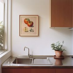 a kitchen with a sink, potted plant and painting on the wall above it