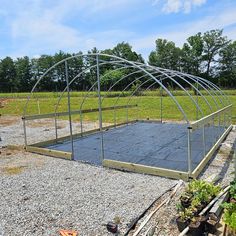 a man standing next to a green house in the middle of a field with lots of plants