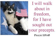 a black and white cat laying on top of a bed holding an american flag with the words i will walk about in freedom, for i have bought out your precept