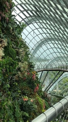 the inside of a building with plants growing on it