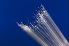 Fiber optics specialist, CeramOptec, will be showcasing high-quality fiber optic solutions for spectroscopy, laser applications and light projection at SPIE Photonics West 2025. The focus will be on homogenizing fibers with polygonal core geometry and fiber bundles for realizing large transmissive cross-sections. Aluminum-coated fibers for use in harsh environments will also be presented.