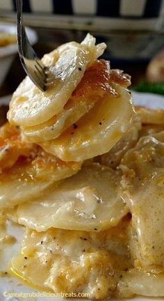 a white plate topped with pasta covered in cheese