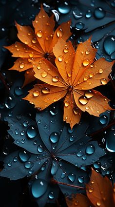 an orange leaf with water droplets on it