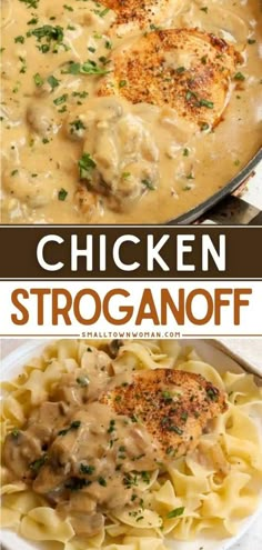 chicken stroganooffi with gravy in a skillet on the side