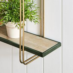 a potted plant sitting on top of a wooden shelf next to a white wall