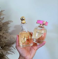 Feminine Scents, Perfumes Collection, Perfume Hacks