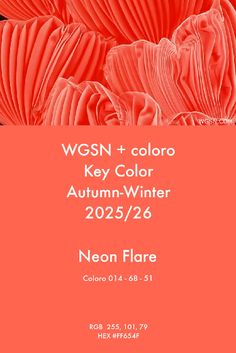 an orange background with text that reads wgsn + color key color autumn - winter 205 / 26 neon flare