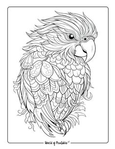 a coloring page with an image of a parrot on it's head and wings